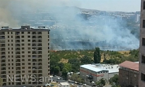 Yerevan botanical garden on fire